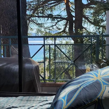 Piscine, Vue Mer, Calme Et Luxe, Terrasse